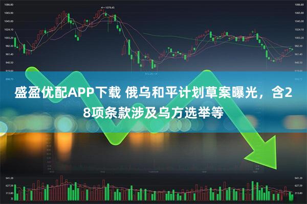盛盈优配APP下载 俄乌和平计划草案曝光,含28项条款涉及乌方选举等