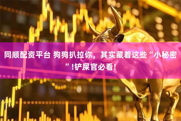 同顺配资平台 狗狗扒拉你，其实藏着这些“小秘密”!铲屎官必看!