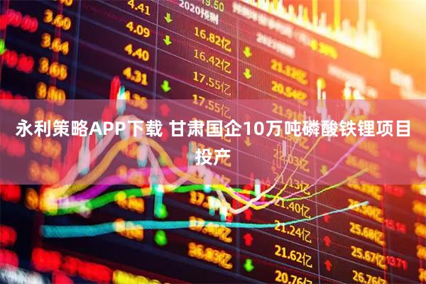 永利策略APP下载 甘肃国企10万吨磷酸铁锂项目投产