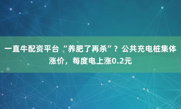 一直牛配资平台 “养肥了再杀”？公共充电桩集体涨价，每度电上涨0.2元